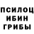 Псилоцибиновые грибы Psilocybine cubensis lesya bulanova